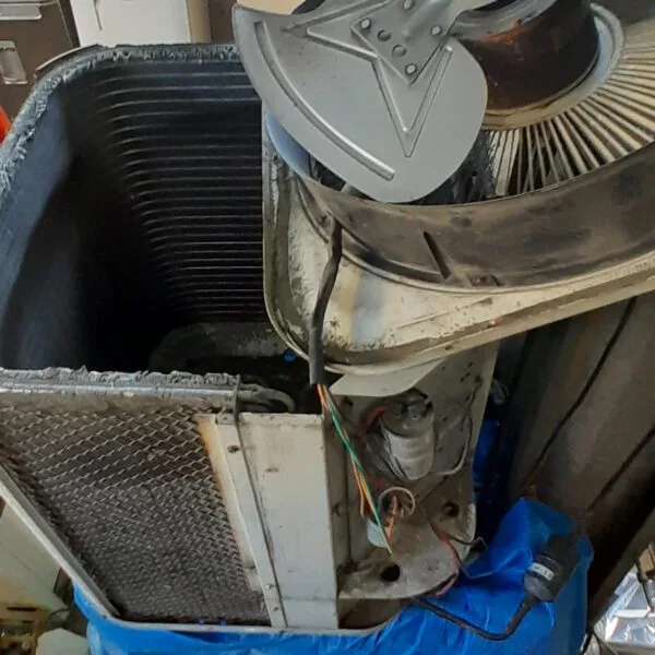 splitão